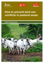 landconflictpastoralism