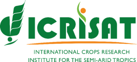 International Crops Research Institute for the Semi-Arid Tropics logo