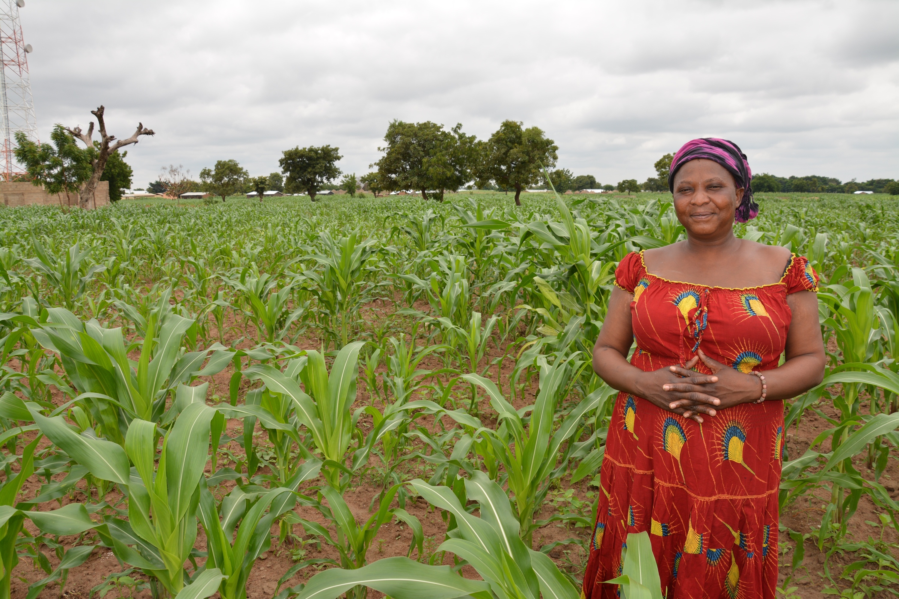 Woman standing in her own field, 2012 - USAID