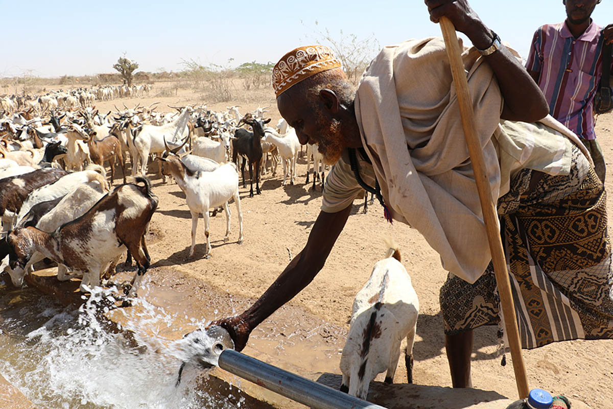 Ethiopia worst El Niño induced drought in 50 years, photo by EU/ECHO/Anouk Delafortrie, CC BY-NC 2.0 license