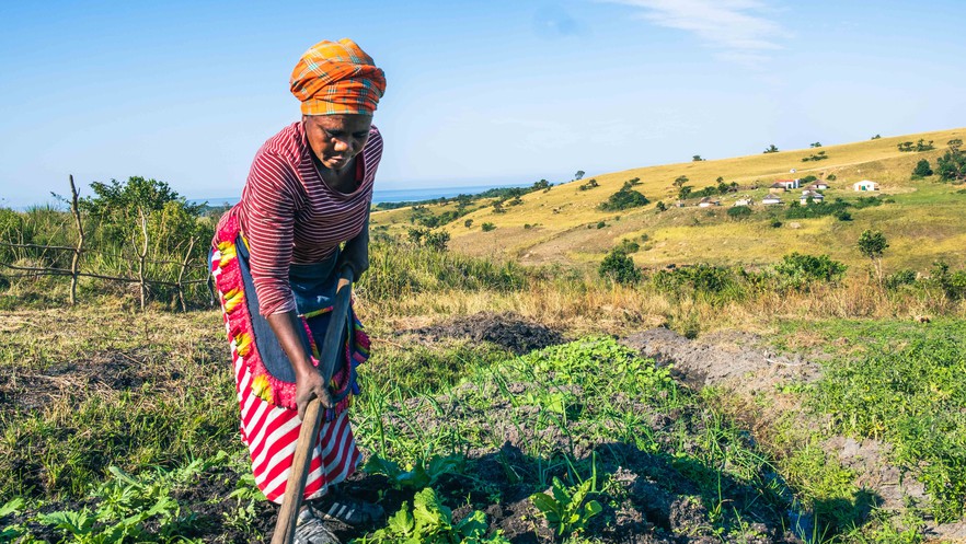 Xolobeni farmer, Photo by Daniel Steyn/GroundUp (CC BY-NC-ND 2.0)