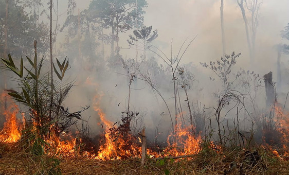 Foto: 17ª Brigada de Infantaria de Selva/Rondônia